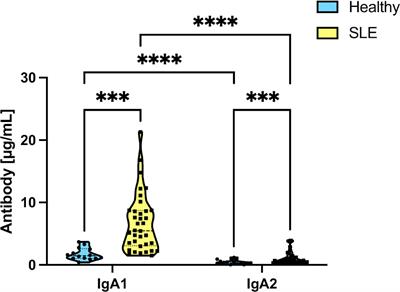 Salivary IgA subtypes as novel disease biomarkers in systemic lupus erythematosus